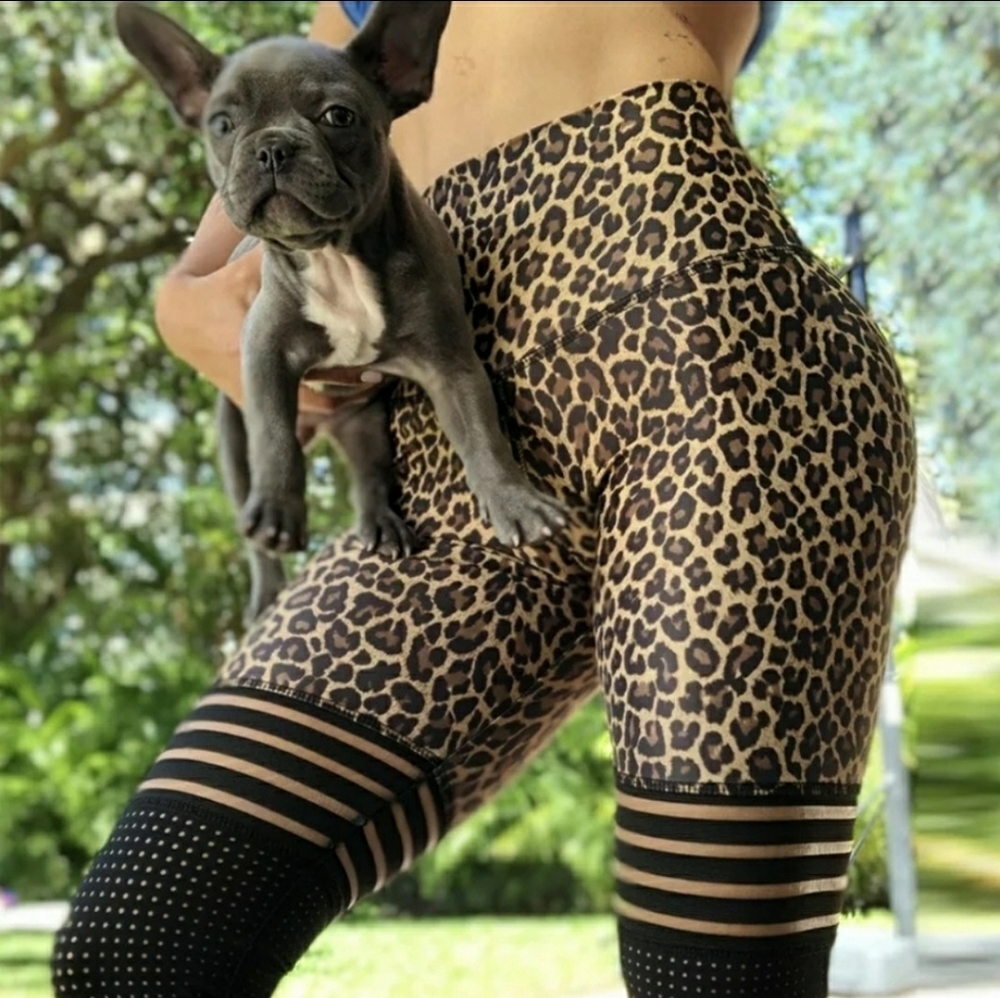 Leopard Print Women's Leggings